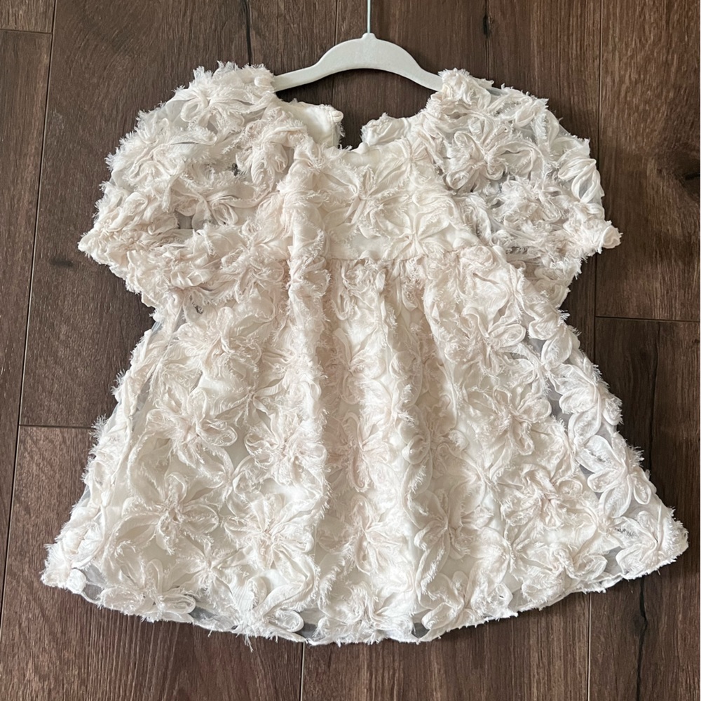 Zara 3D Floral Dress